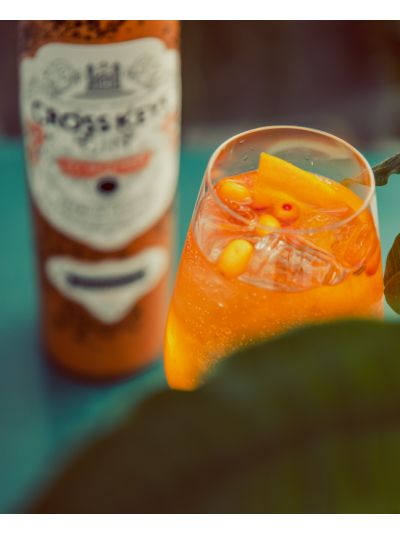 Kokteilis Orange Gin&Tonic